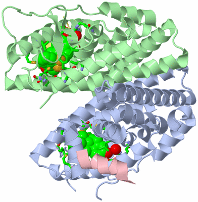 Image Asym./Biol. Unit - sites