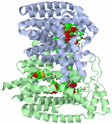 Image Asym./Biol. Unit - sites