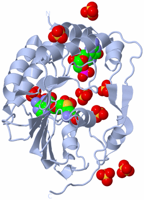 Image Biological Unit 1