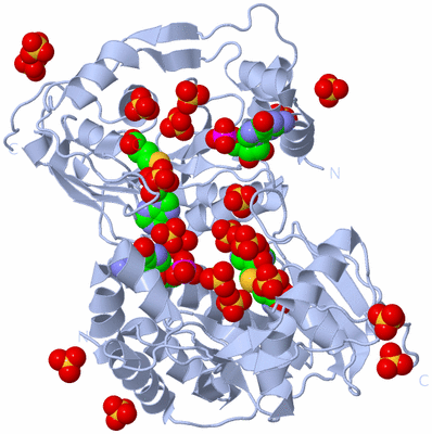 Image Biological Unit 2