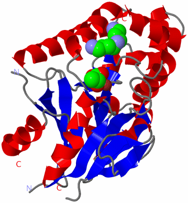 Image Asym./Biol. Unit