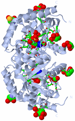 Image Biol. Unit 1 - sites