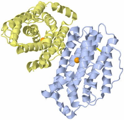 Image Biological Unit 1