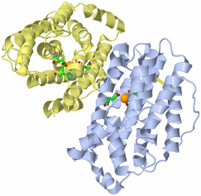 Image Biol. Unit 1 - sites
