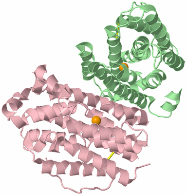 Image Biological Unit 2