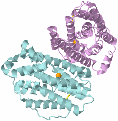 Image Biological Unit 3