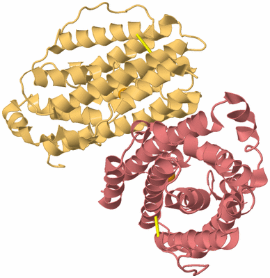 Image Biological Unit 4