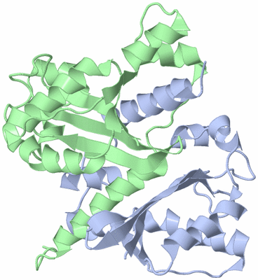 Image Asym./Biol. Unit