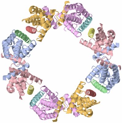 Image Biological Unit 5