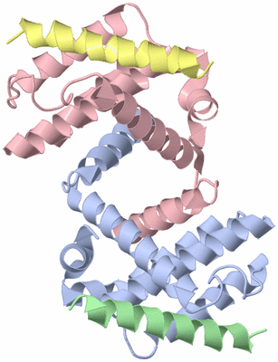 Image Biological Unit 7