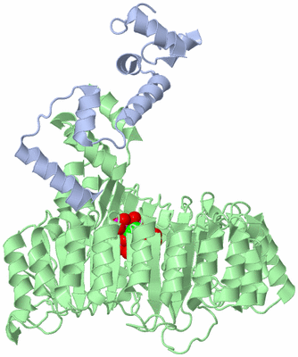 Image Biological Unit 1