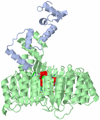 Image Biol. Unit 1 - sites