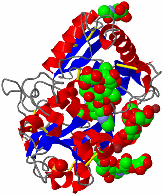 Image Asym./Biol. Unit