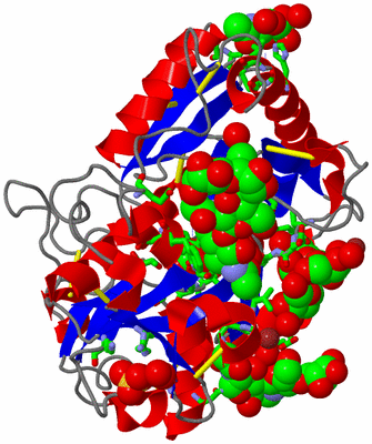 Image Asym./Biol. Unit - sites