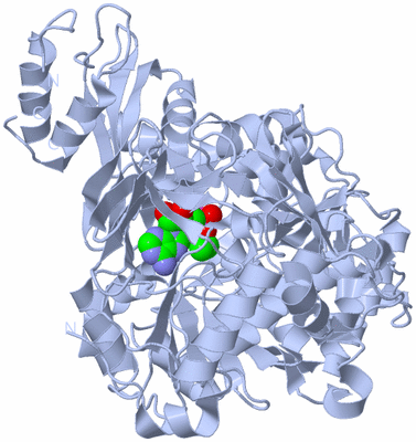 Image Biological Unit 1