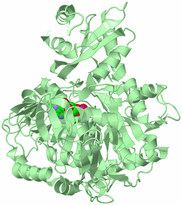 Image Biological Unit 2