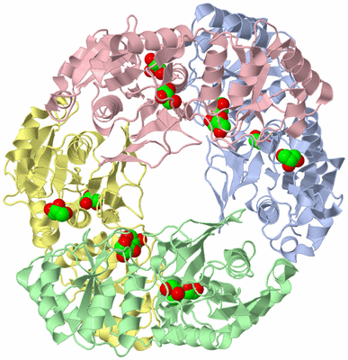 Image Asym./Biol. Unit