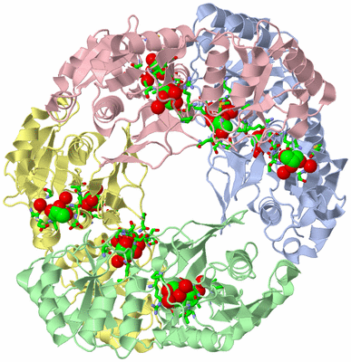 Image Asym./Biol. Unit - sites