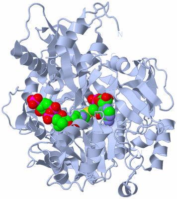 Image Biological Unit 1