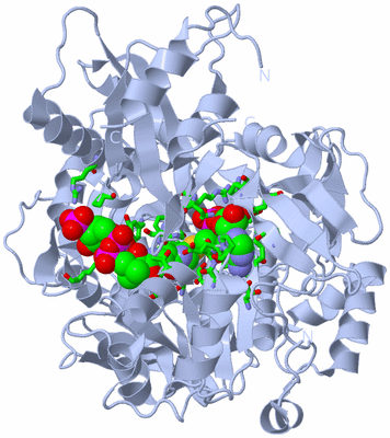 Image Biol. Unit 1 - sites