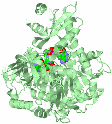 Image Biological Unit 2