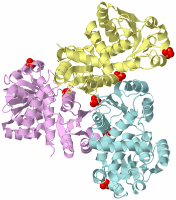 Image Biological Unit 2