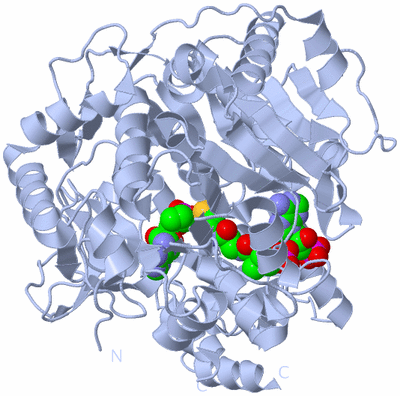 Image Biological Unit 1