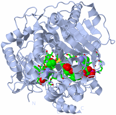 Image Biol. Unit 1 - sites