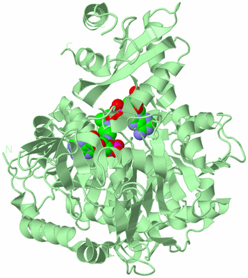 Image Biological Unit 2