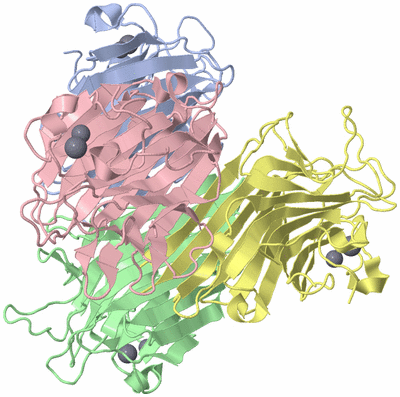 Image Biological Unit 1