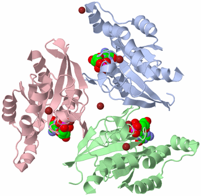 Image Biological Unit 1