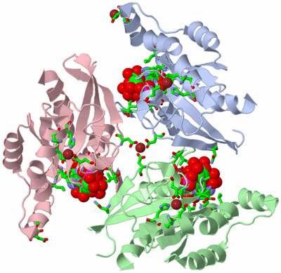 Image Biol. Unit 1 - sites