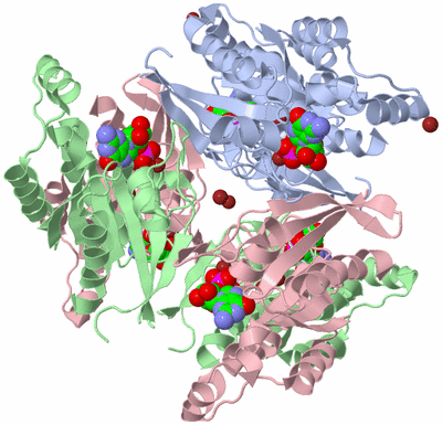 Image Biological Unit 2