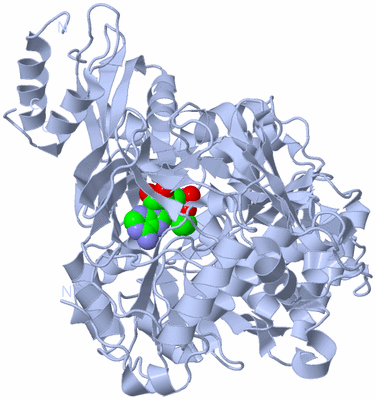 Image Biological Unit 1