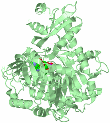 Image Biological Unit 2