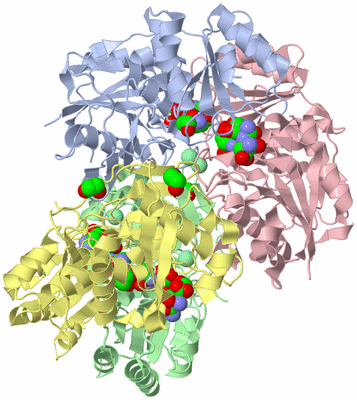 Image Asym./Biol. Unit