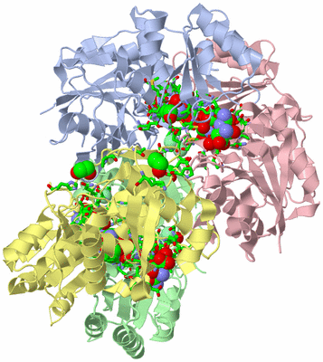 Image Asym./Biol. Unit - sites