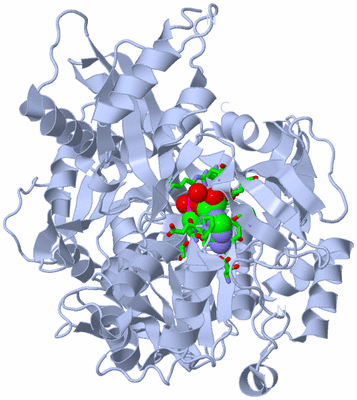 Image Biol. Unit 1 - sites