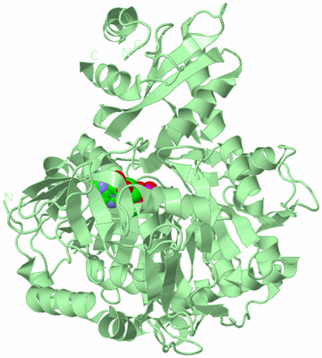 Image Biological Unit 2