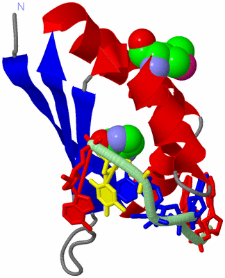 Image Asym./Biol. Unit