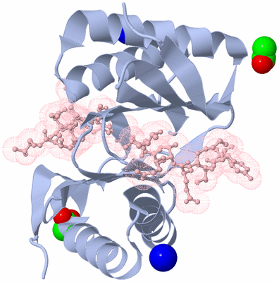 Image Biological Unit 1