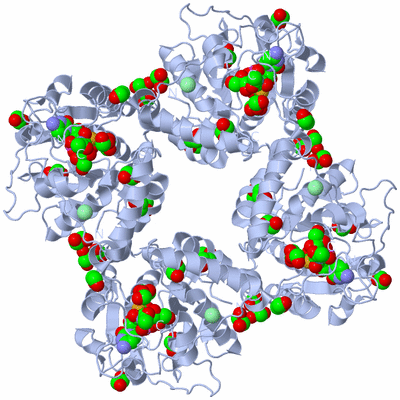 Image Biological Unit 1