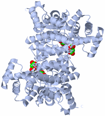 Image Biological Unit 1