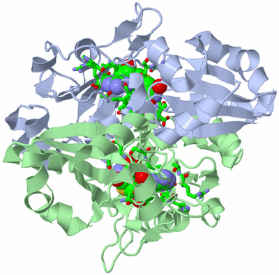 Image Biol. Unit 1 - sites