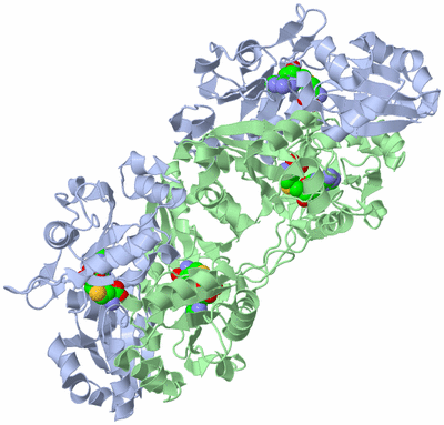 Image Biological Unit 2