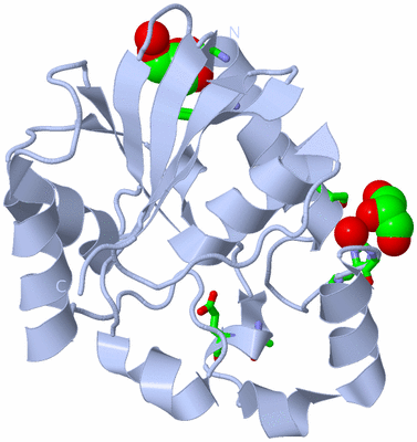 Image Biol. Unit 1 - sites