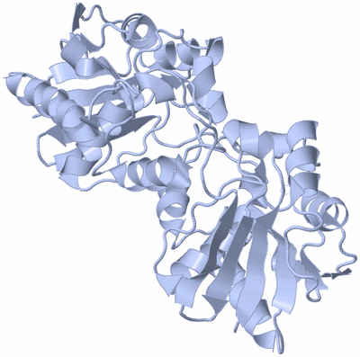 Image Biological Unit 2