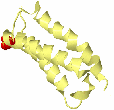 Image Biological Unit 4