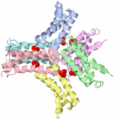 Image Biological Unit 7