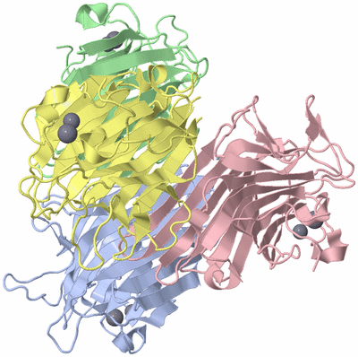 Image Biological Unit 1